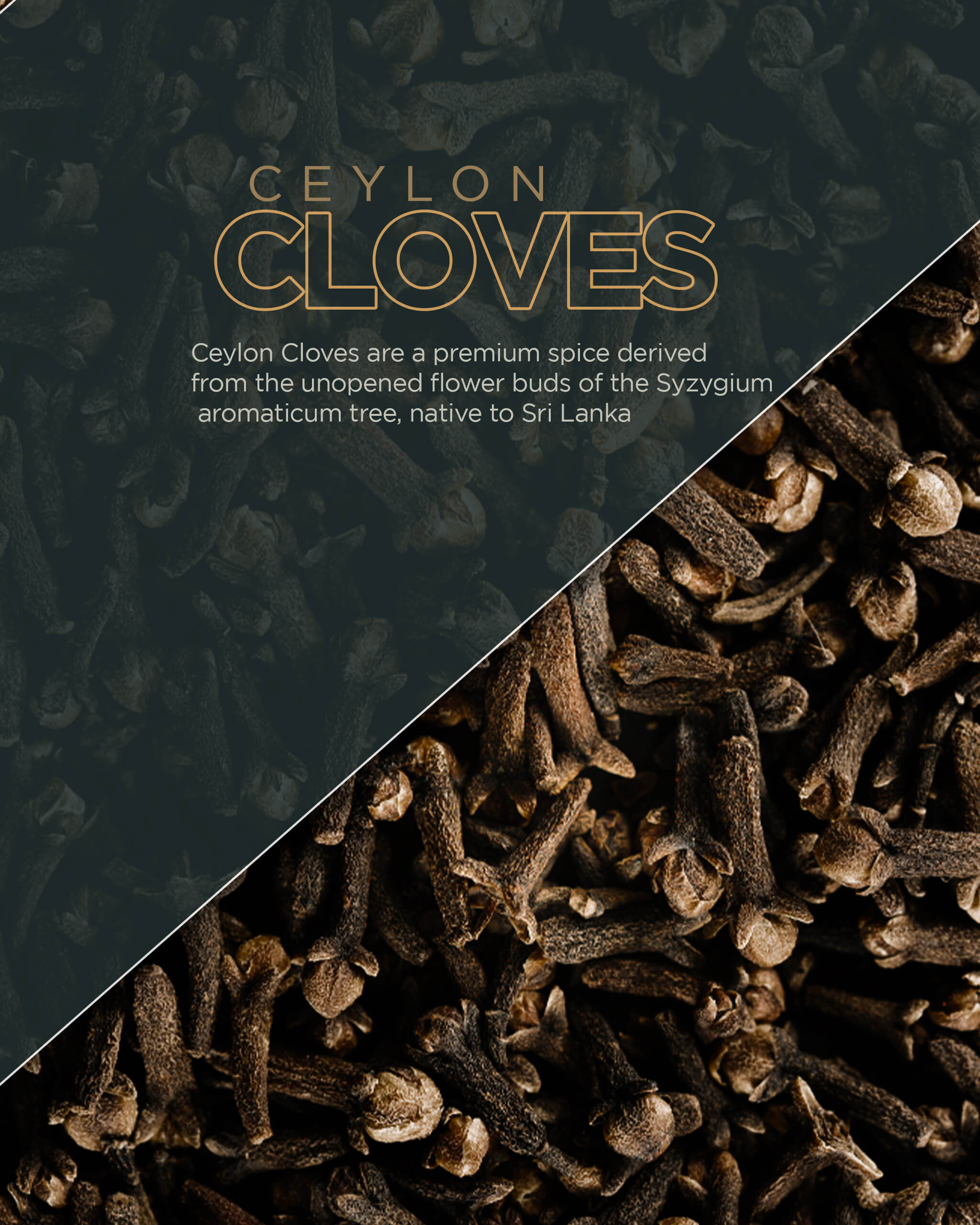  Cloves